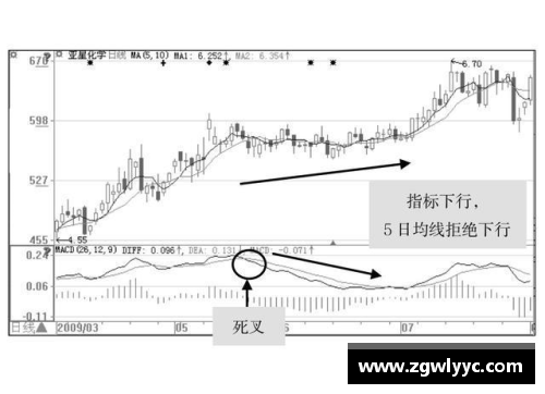 排球场上的位置战略与角色演变